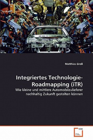Carte Integriertes Technologie-Roadmapping (iTR) Matthias Groß