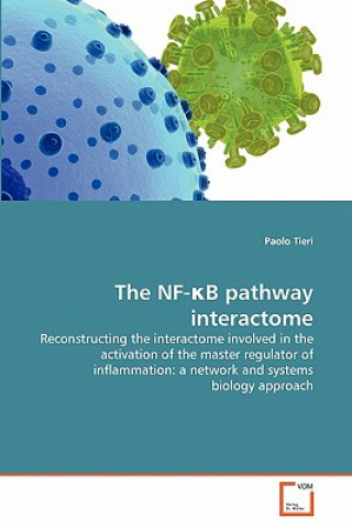 Könyv NF-&#954;B pathway interactome Paolo Tieri