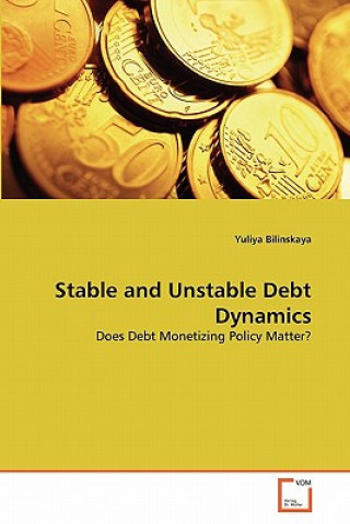 Könyv Stable and Unstable Debt Dynamics Yuliya Bilinskaya