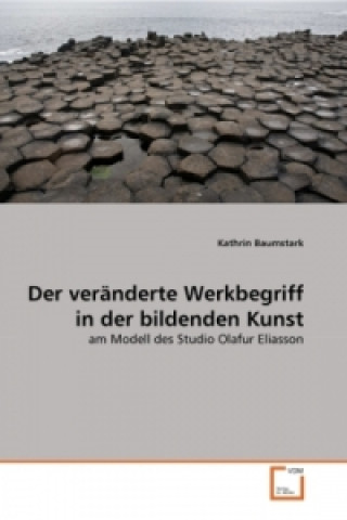 Książka Der veränderte Werkbegriff in der bildenden Kunst Kathrin Baumstark