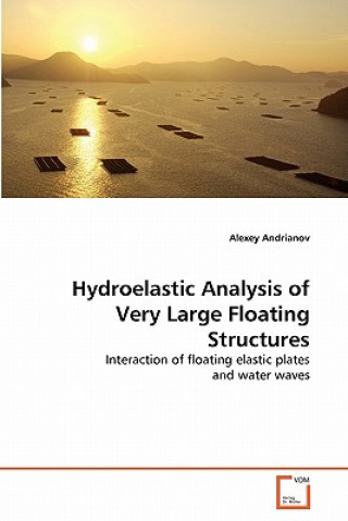 Carte Hydroelastic Analysis of Very Large Floating Structures Alexey Andrianov