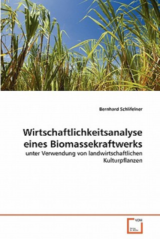 Książka Wirtschaftlichkeitsanalyse eines Biomassekraftwerks Bernhard Schlifelner