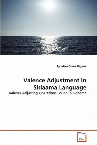 Kniha Valence Adjustment in Sidaama Language Aynalem Girma Beyene