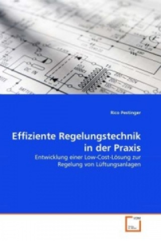 Livre Effiziente Regelungstechnik in der Praxis Rico Pestinger