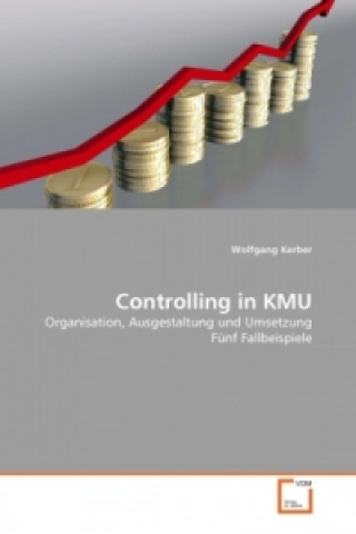Kniha Controlling in KMU Wolfgang Kerber
