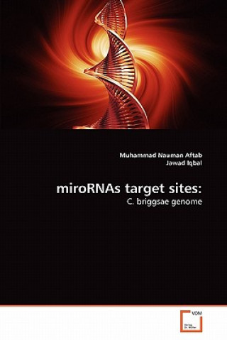 Βιβλίο miroRNAs target sites Muhammad Nauman Aftab