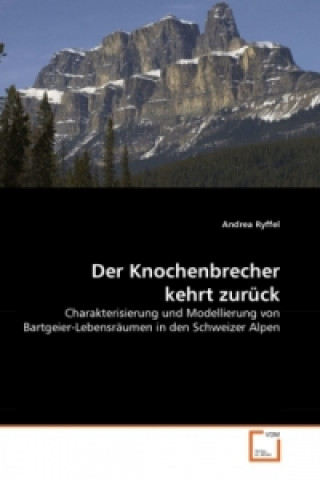 Book Der Knochenbrecher kehrt zurück Andrea Ryffel