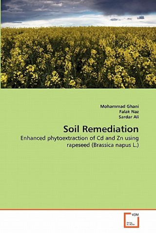 Книга Soil Remediation Mohammad Ghani