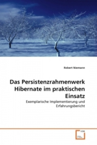 Buch Das Persistenzrahmenwerk Hibernate im praktischen Einsatz Robert Niemann