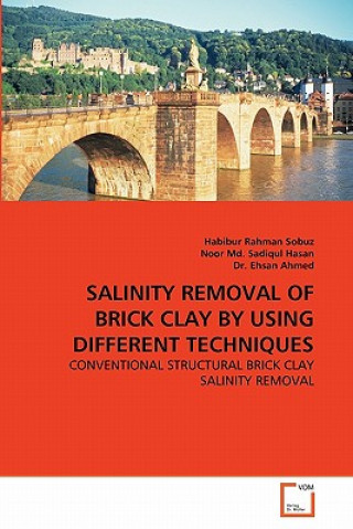 Carte Salinity Removal of Brick Clay by Using Different Techniques Habibur Rahman Sobuz