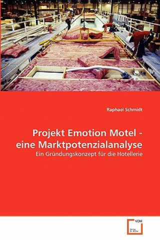 Книга Projekt Emotion Motel - eine Marktpotenzialanalyse Raphael Schmidt