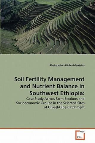 Könyv Soil Fertility Management and Nutrient Balance in Southwest Ethiopia Abebayehu Aticho Mentsiro