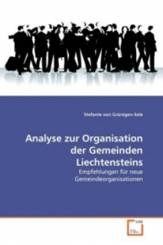 Carte Analyse zur Organisation der Gemeinden Liechtensteins Stefanie von Grünigen-Sele