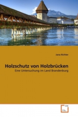 Książka Holzschutz von Holzbrücken Jana Richter