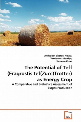 Kniha Potential of Teff (Eragrostis tef(Zucc)Trotter) as Energy Crop Andualem Sitotaw Nigatu