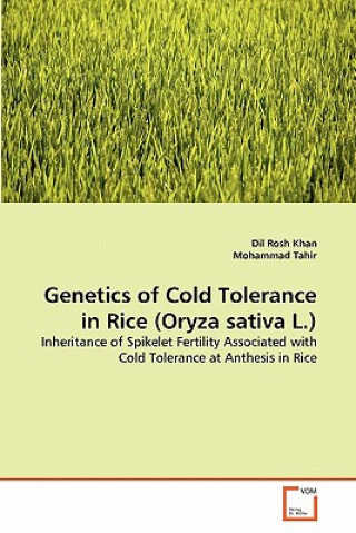 Kniha Genetics of Cold Tolerance in Rice (Oryza sativa L.) Dil Rosh Khan