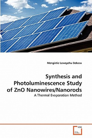 Kniha Synthesis and Photoluminescence Study of ZnO Nanowires/Nanorods Mengistie Leweyehu Debasu