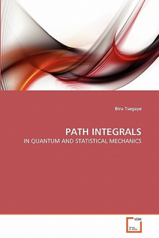 Knjiga Path Integrals Biru Tsegaye
