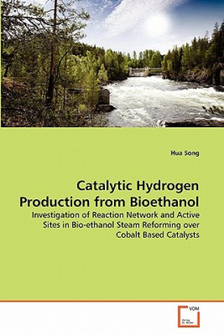 Kniha Catalytic Hydrogen Production from Bioethanol Hua Song