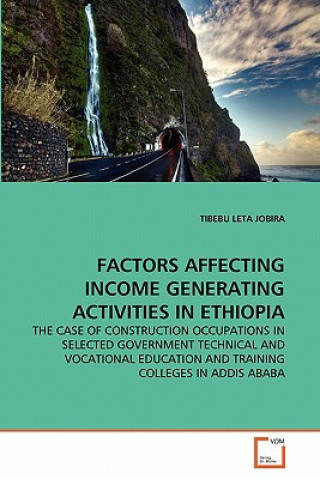 Kniha Factors Affecting Income Generating Activities in Ethiopia Tibebu Leta Jobira