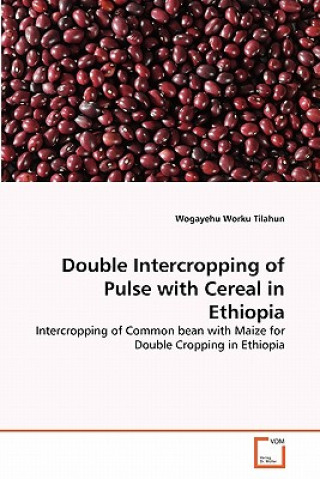 Könyv Double Intercropping of Pulse with Cereal in Ethiopia Wogayehu Worku Tilahun