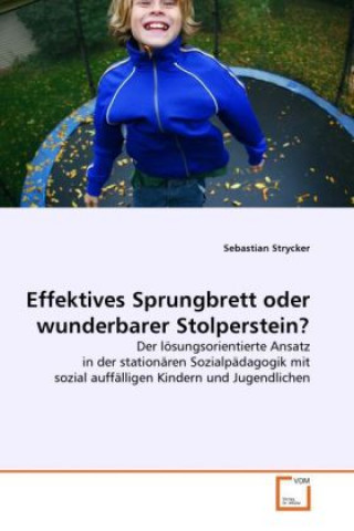 Knjiga Effektives Sprungbrett oder wunderbarer Stolperstein? Sebastian Strycker