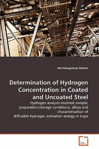 Knjiga Determination of Hydrogen Concentration in Coated and Uncoated Steel Nonhlangabezo Mabho