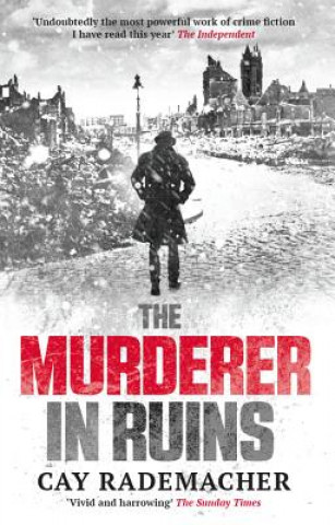 Könyv Murderer in Ruins Cay Rademacher