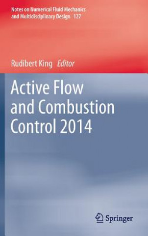 Carte Active Flow and Combustion Control 2014 Rudibert King