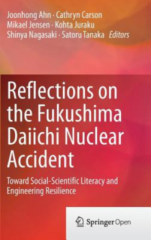 Könyv Reflections on the Fukushima Daiichi Nuclear Accident Joonhong Ahn