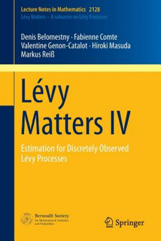 Kniha Levy Matters IV Denis Belomestny