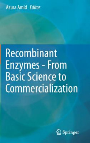 Książka Recombinant Enzymes - From Basic Science to Commercialization Azura Amid