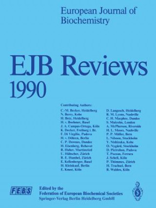 Kniha EJB Reviews 1990 P. Christen