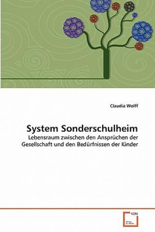 Kniha System Sonderschulheim Claudia Wolff