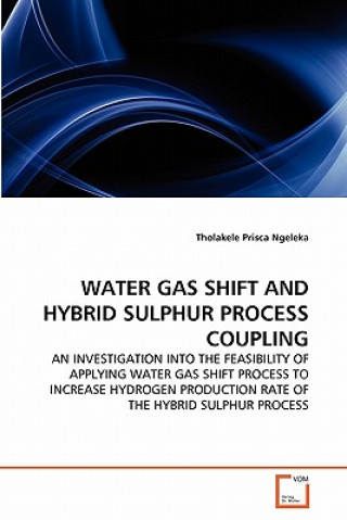 Könyv Water Gas Shift and Hybrid Sulphur Process Coupling Tholakele Prisca Ngeleka