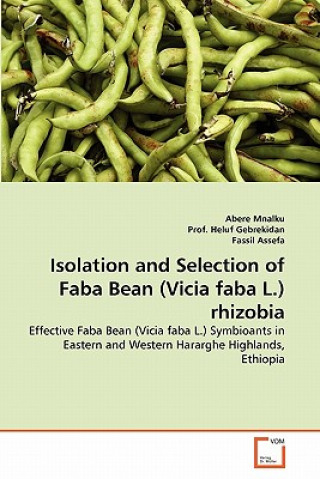 Livre Isolation and Selection of Faba Bean (Vicia faba L.) rhizobia Abere Mnalku