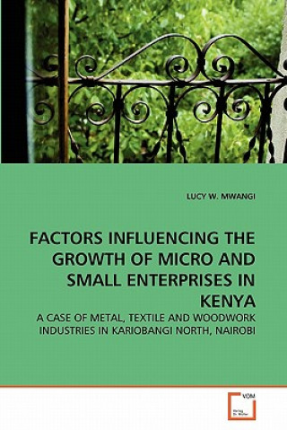 Könyv Factors Influencing the Growth of Micro and Small Enterprises in Kenya Lucy W. Mwangi