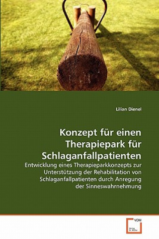 Knjiga Konzept fur einen Therapiepark fur Schlaganfallpatienten Lilian Dienel