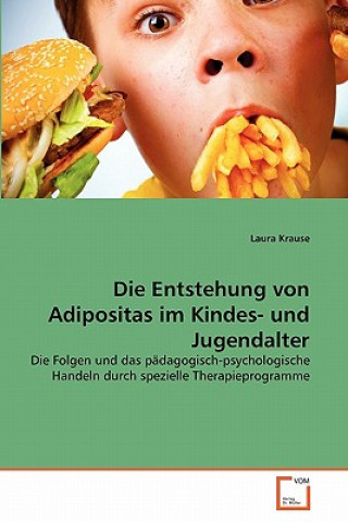 Kniha Entstehung von Adipositas im Kindes- und Jugendalter Laura Krause