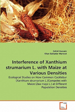 Kniha Interference of Xanthium strumarium L. with Maize at Various Densities Zahid Hussain