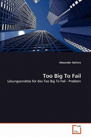 Buch Too Big To Fail Alexander Kalinna