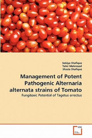 Kniha Management of Potent Pathogenic Alternaria alternata strains of Tomato Sobiya Shafique