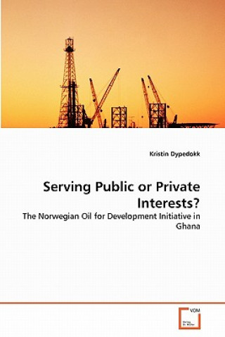 Kniha Serving Public or Private Interests? Kristin Dypedokk