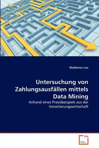 Kniha Untersuchung von Zahlungsausfallen mittels Data Mining Waldemar Lau