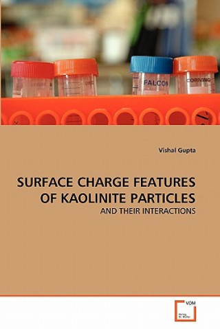 Kniha Surface Charge Features of Kaolinite Particles Vishal Gupta