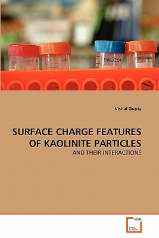 Książka Surface Charge Features of Kaolinite Particles Vishal Gupta