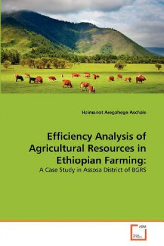 Книга Efficiency Analysis of Agricultural Resources in Ethiopian Farming Haimanot Aregahegn Aschale