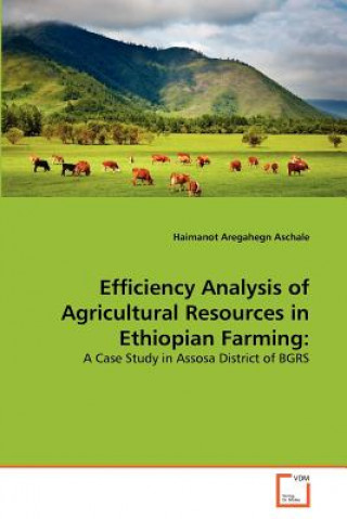 Knjiga Efficiency Analysis of Agricultural Resources in Ethiopian Farming Haimanot Aregahegn Aschale