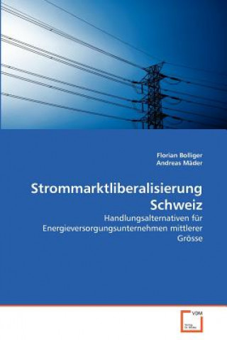 Kniha Strommarktliberalisierung Schweiz Florian Bolliger