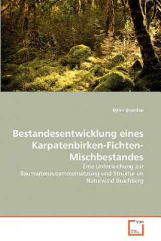 Kniha Bestandesentwicklung eines Karpatenbirken-Fichten-Mischbestandes Björn Brandau